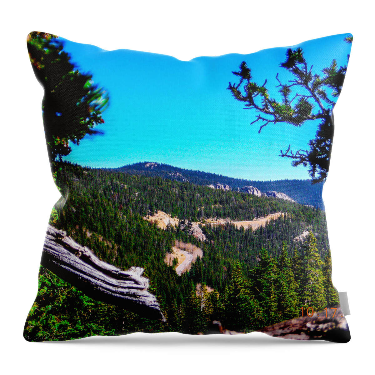 Scenic Throw Pillow featuring the photograph Distant Travellers by Shannon Harrington