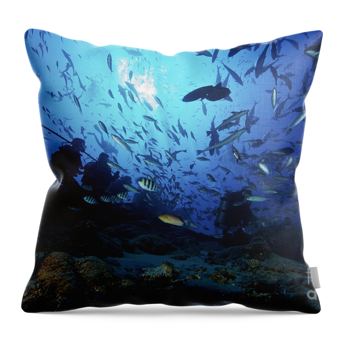 Fiji Throw Pillow featuring the photograph Divers & Fish At Beqa Lagoons Premier by Terry Moore