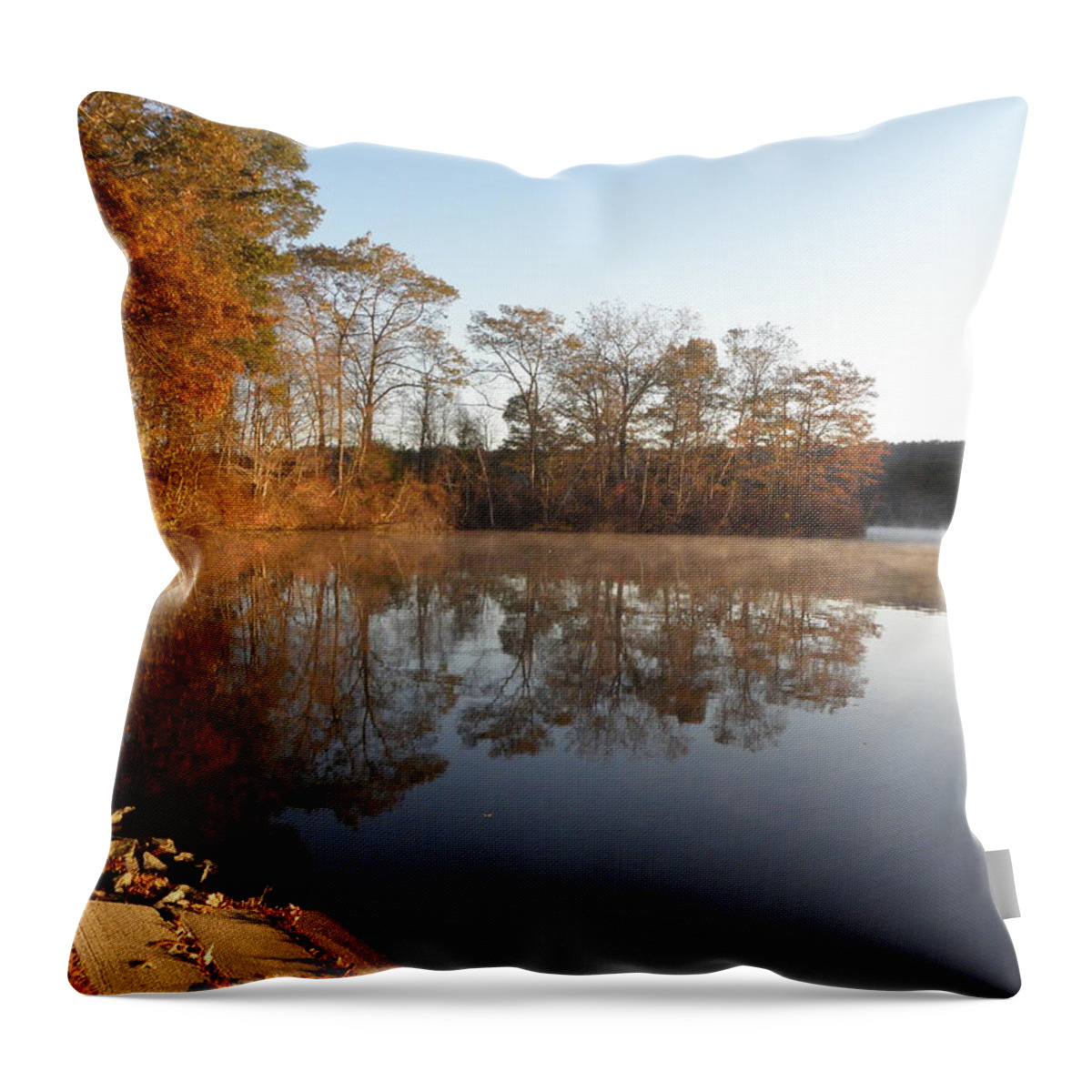 Dock Throw Pillow featuring the photograph dockside in November by Kim Galluzzo
