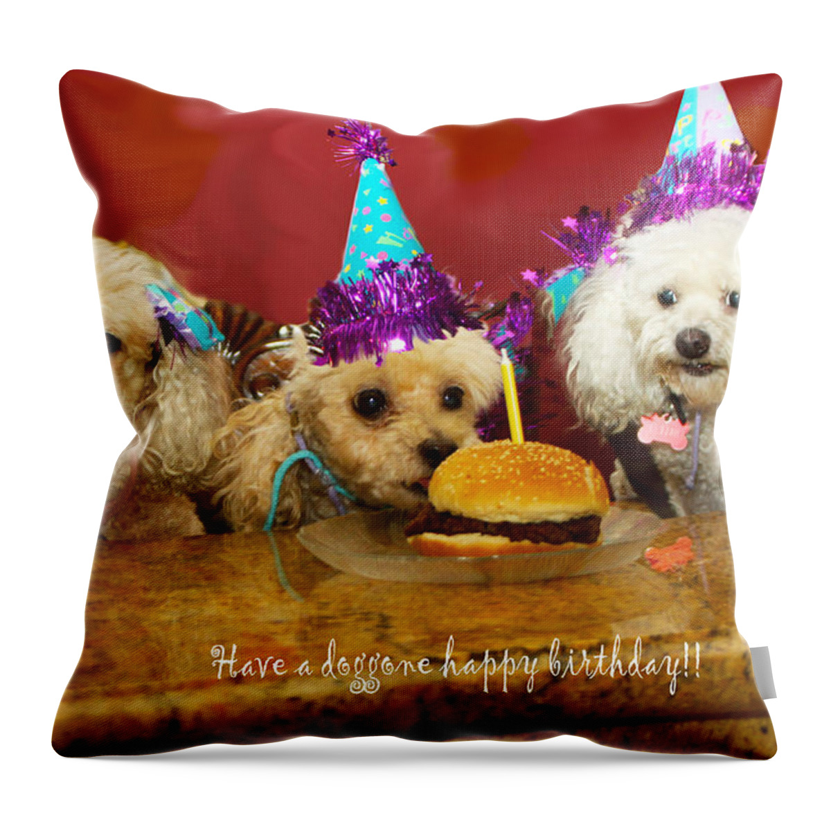 Dogs Throw Pillow featuring the photograph Dog Birthday Party by Diana Haronis
