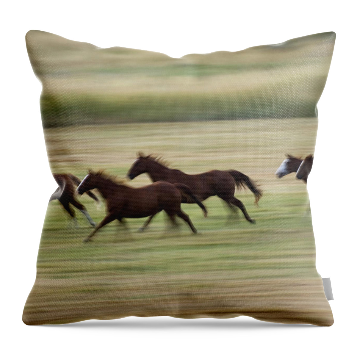 00198163 Throw Pillow featuring the photograph HorsesGalloping by Konrad Wothe