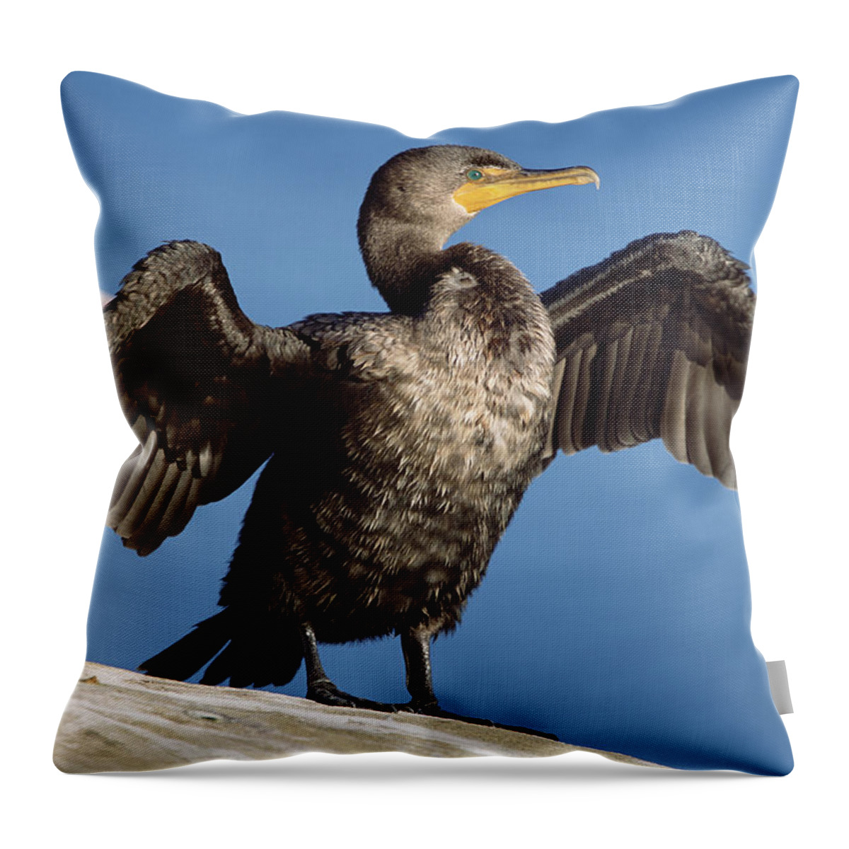00173822 Throw Pillow featuring the photograph Double Crested Cormorant Drying Wings by Tim Fitzharris
