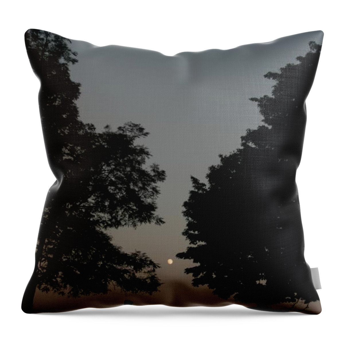 North Carolina Throw Pillow featuring the photograph Doughton Park on the Blue Ridge Parkway by John Harmon