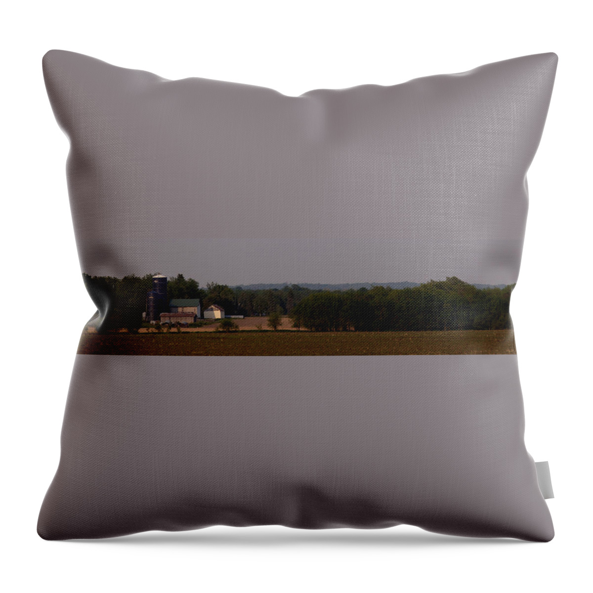 Farm Throw Pillow featuring the photograph Down on the Farm by John Crothers