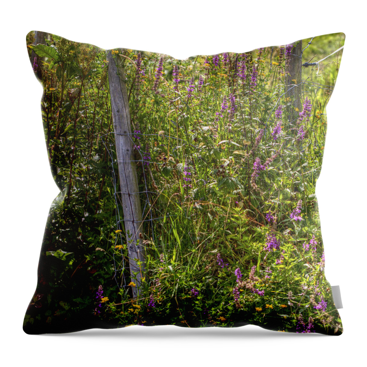 Water Throw Pillow featuring the photograph Down to the water. by Clare Bambers