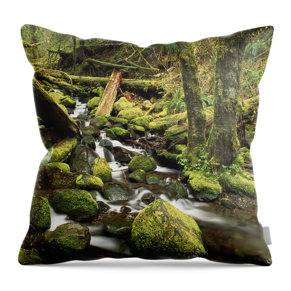 Mp Throw Pillow featuring the photograph Downed Logs In Sorensen Creek by Gerry Ellis