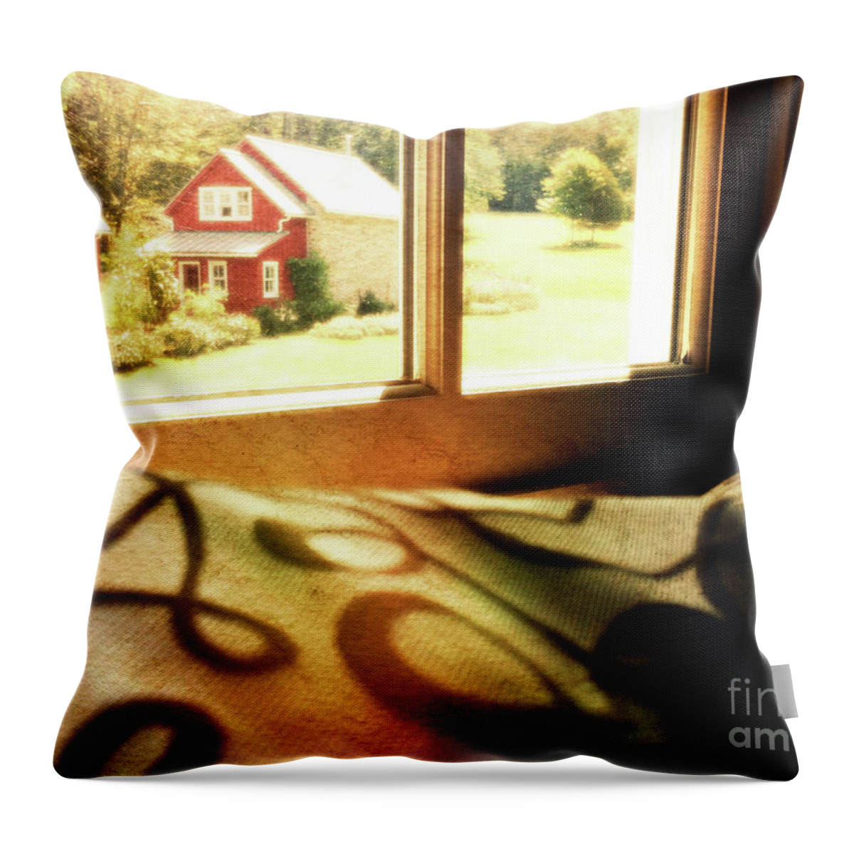 Window Seat Throw Pillow featuring the photograph Dreams From The Window Seat by Kevyn Bashore