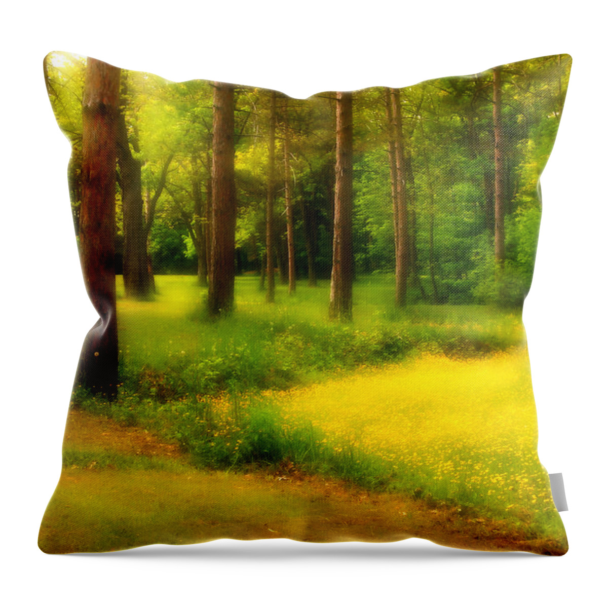 Beautiful Throw Pillow featuring the photograph Dreamy Meadow by Cindy Haggerty