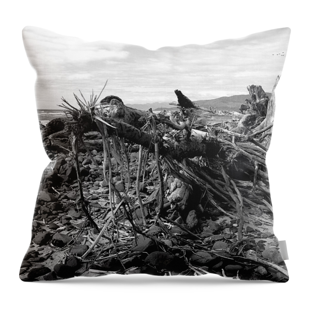 Driftwood Throw Pillow featuring the photograph Driftwood and Rocks by Chriss Pagani