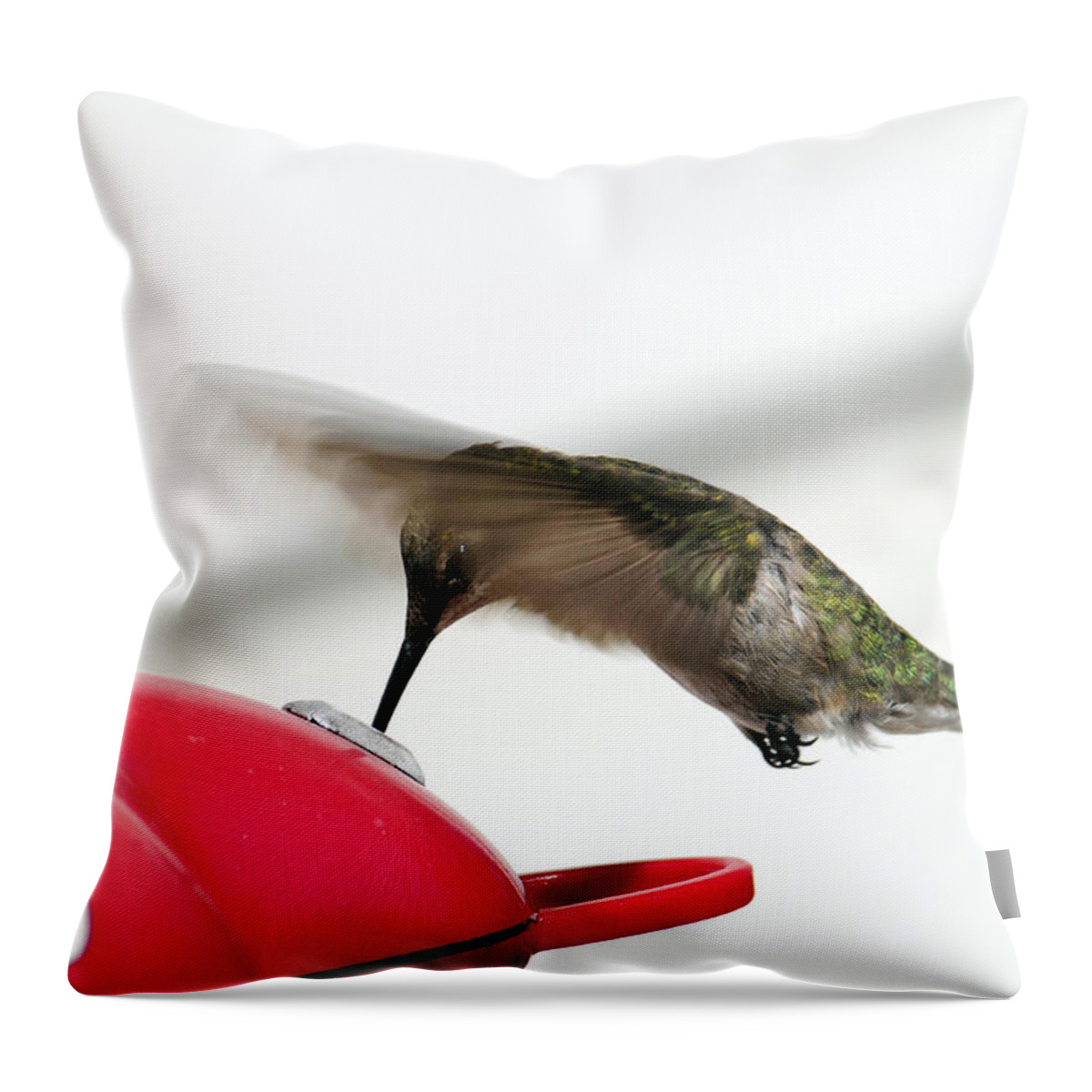 Hummingbird Throw Pillow featuring the photograph Drinking on the Fly by Wanda Brandon