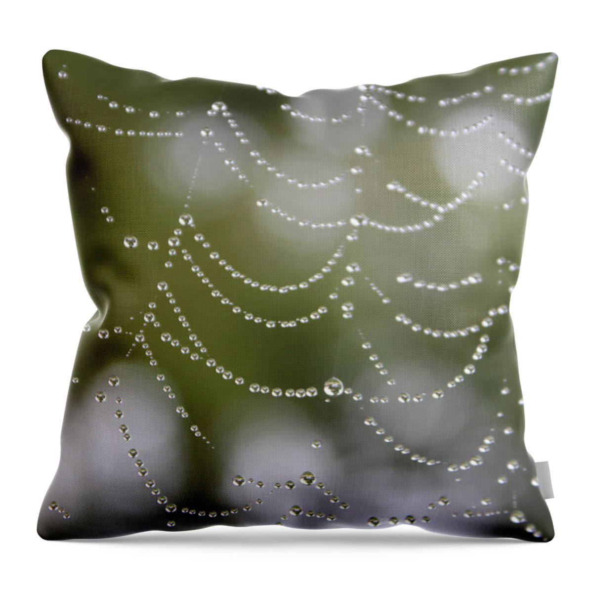 Web Throw Pillow featuring the photograph Drippy by Cathie Douglas