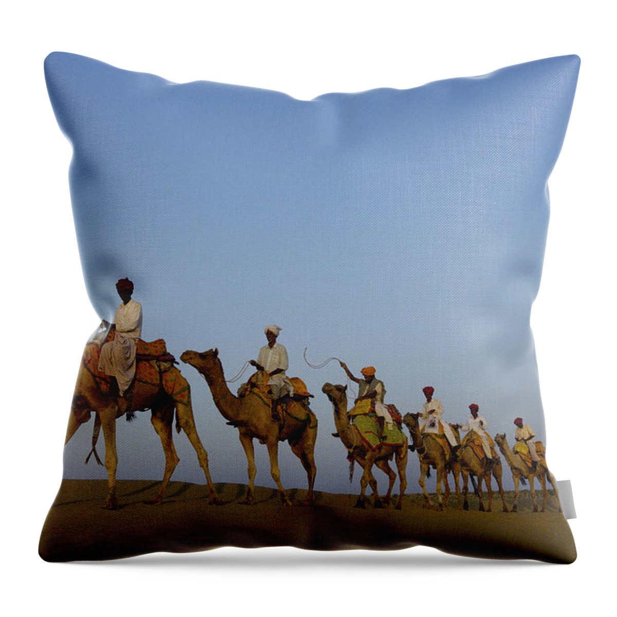 Mp Throw Pillow featuring the photograph Dromedary Camelus Dromedaries Group by Pete Oxford