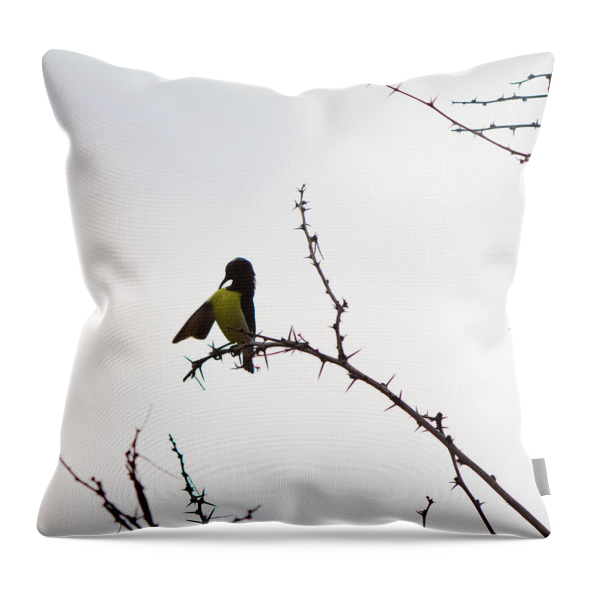 Dry Throw Pillow featuring the photograph Drying up by SAURAVphoto Online Store