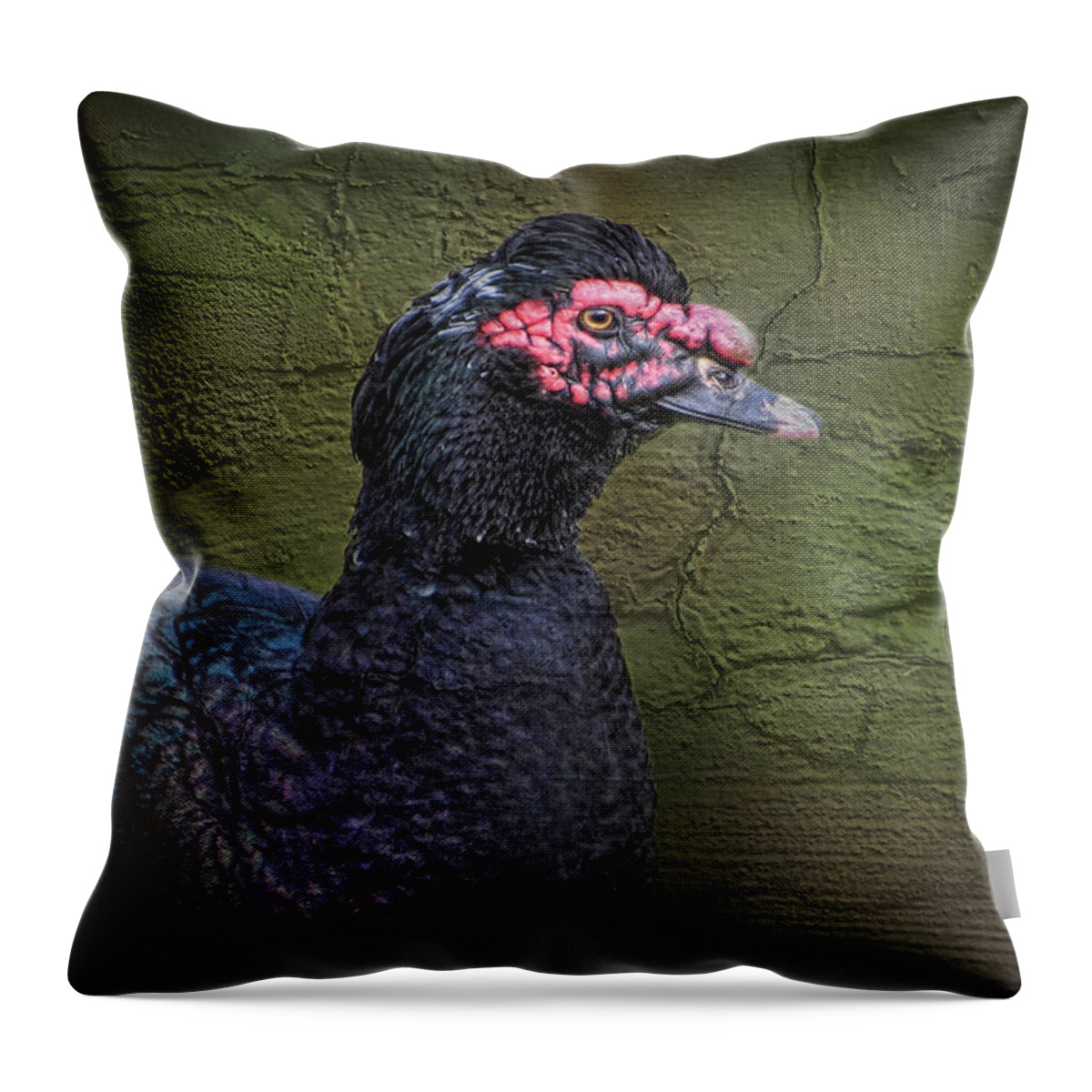 Duck Throw Pillow featuring the photograph Duck Ala Grunge by Kathy Clark