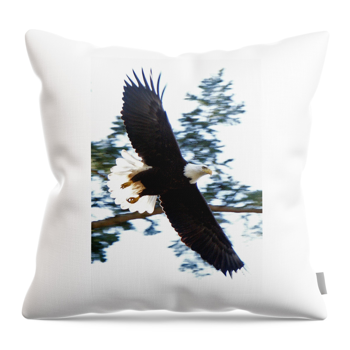 Eagle Throw Pillow featuring the photograph Eagle Eye by David Zinkand