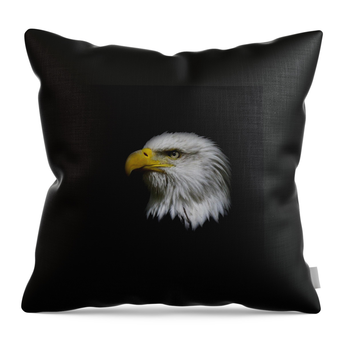 Bald Eagle Throw Pillow featuring the photograph Eagle Head by Steve McKinzie