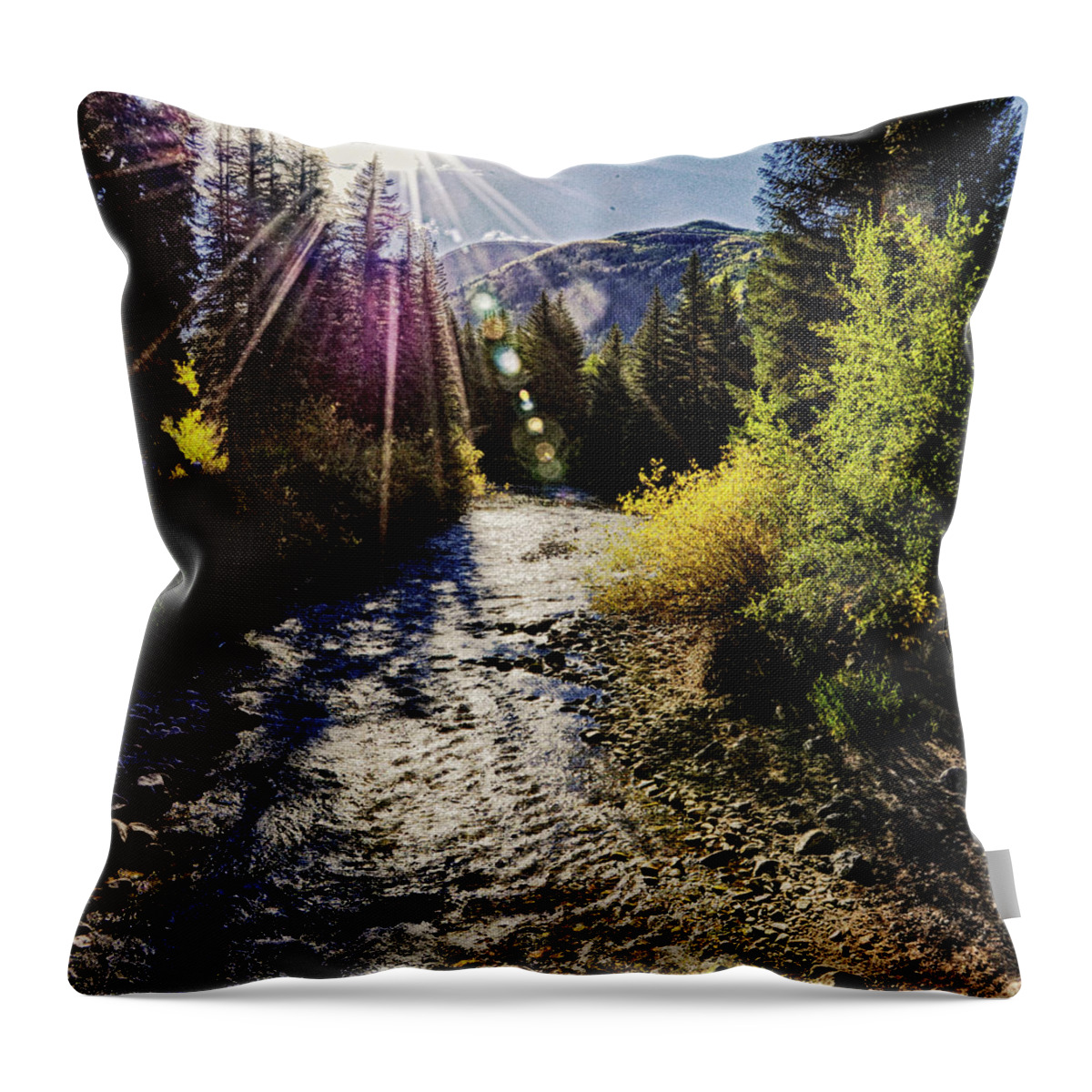 Eagle River Throw Pillow featuring the photograph Eagle River by Paul Beckelheimer