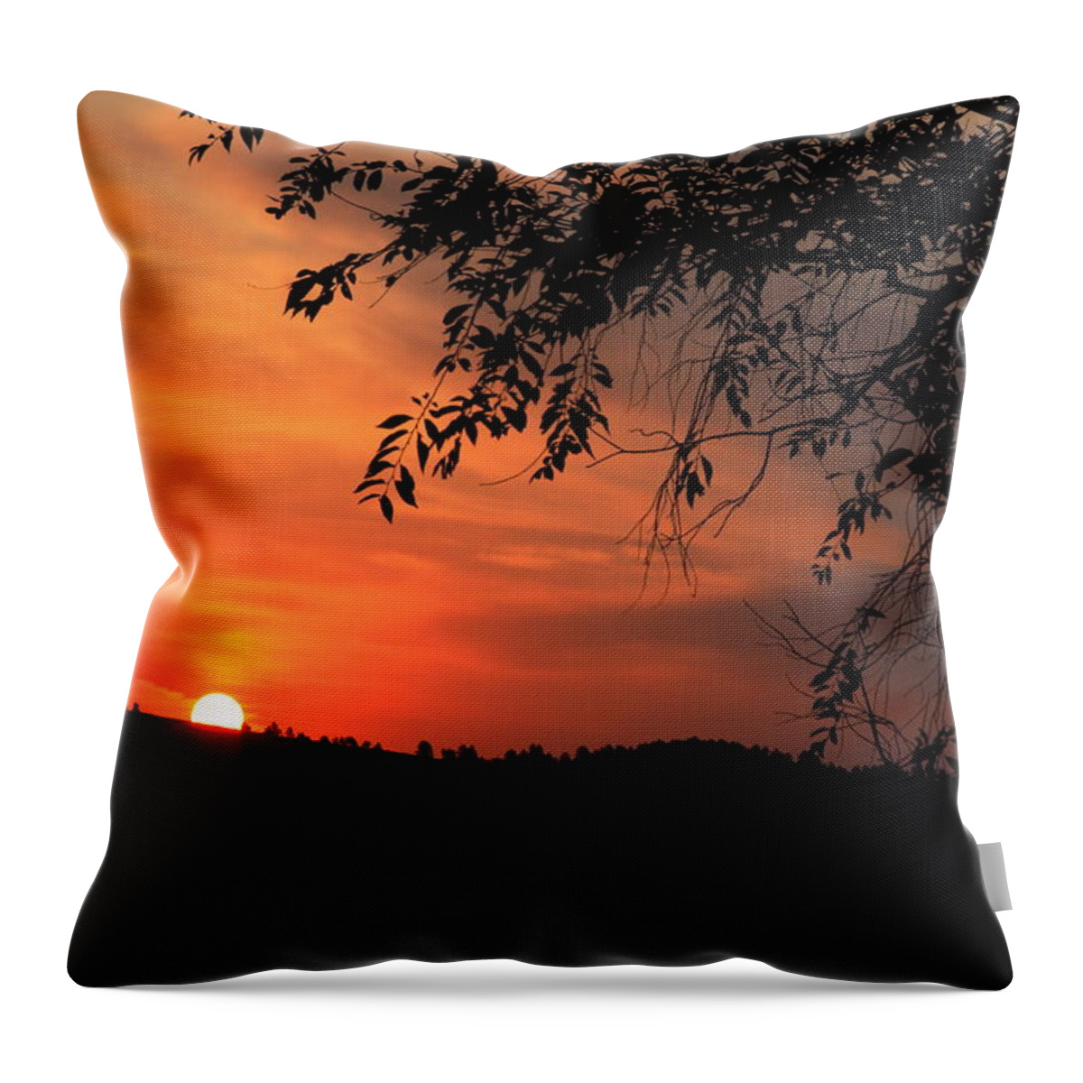 Sunrise Throw Pillow featuring the photograph Early Morning by Donald J Gray