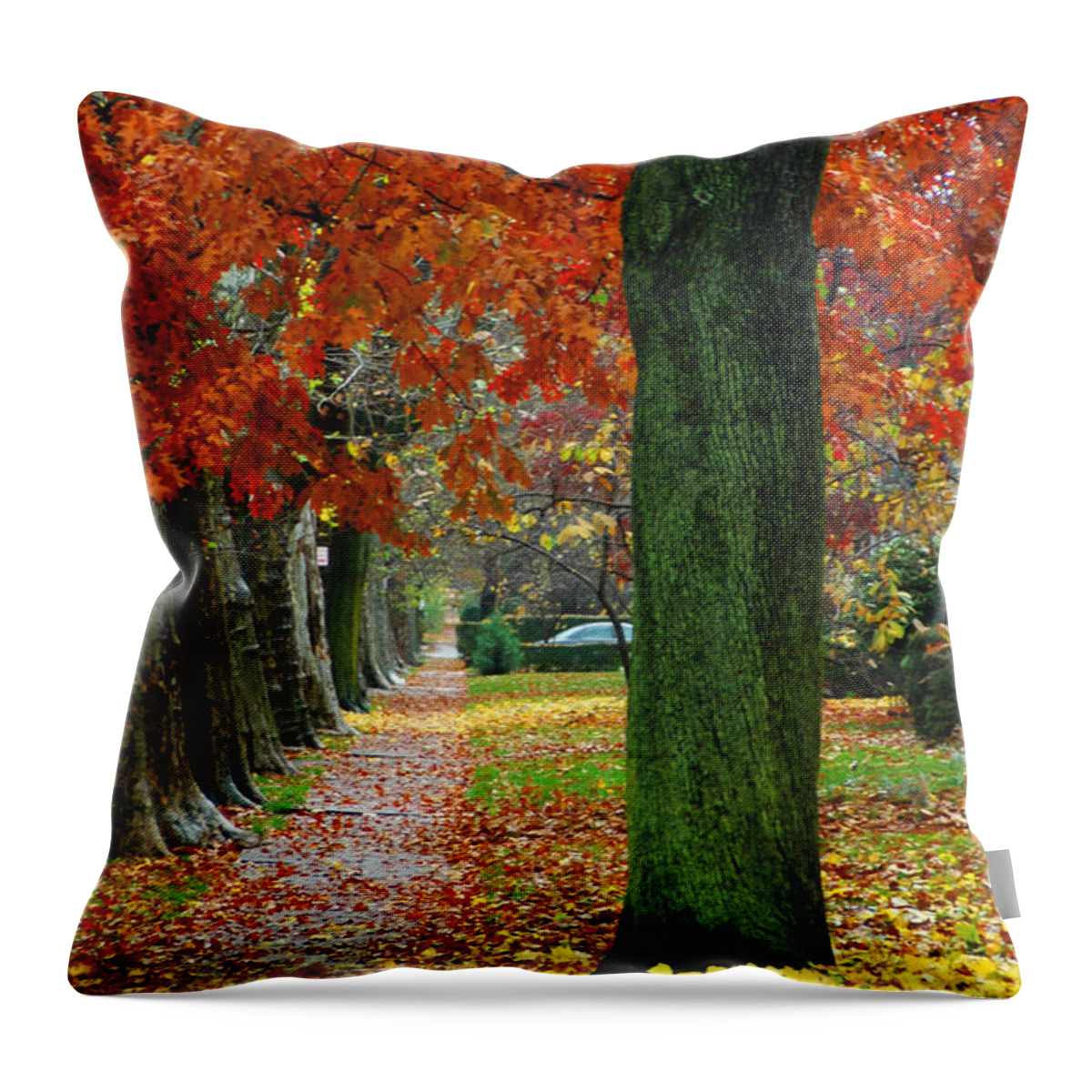 Fall Foliage Throw Pillow featuring the photograph East 19 Street Brooklyn New York by Mark Gilman