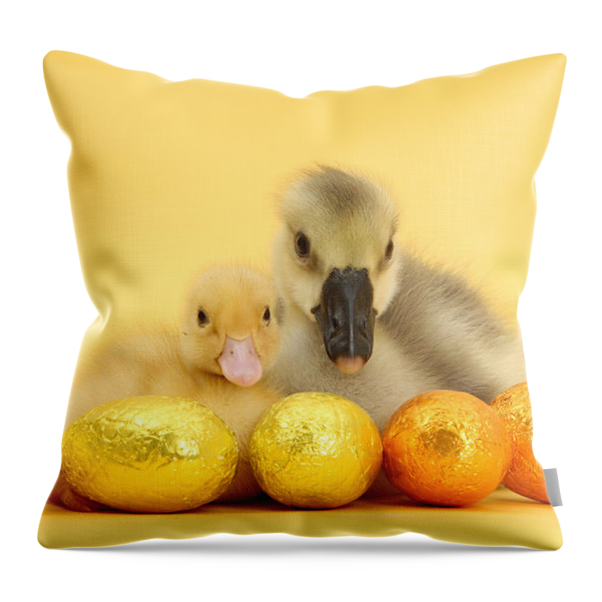 Nature Throw Pillow featuring the photograph Easter Duckling And Gosling by Mark Taylor