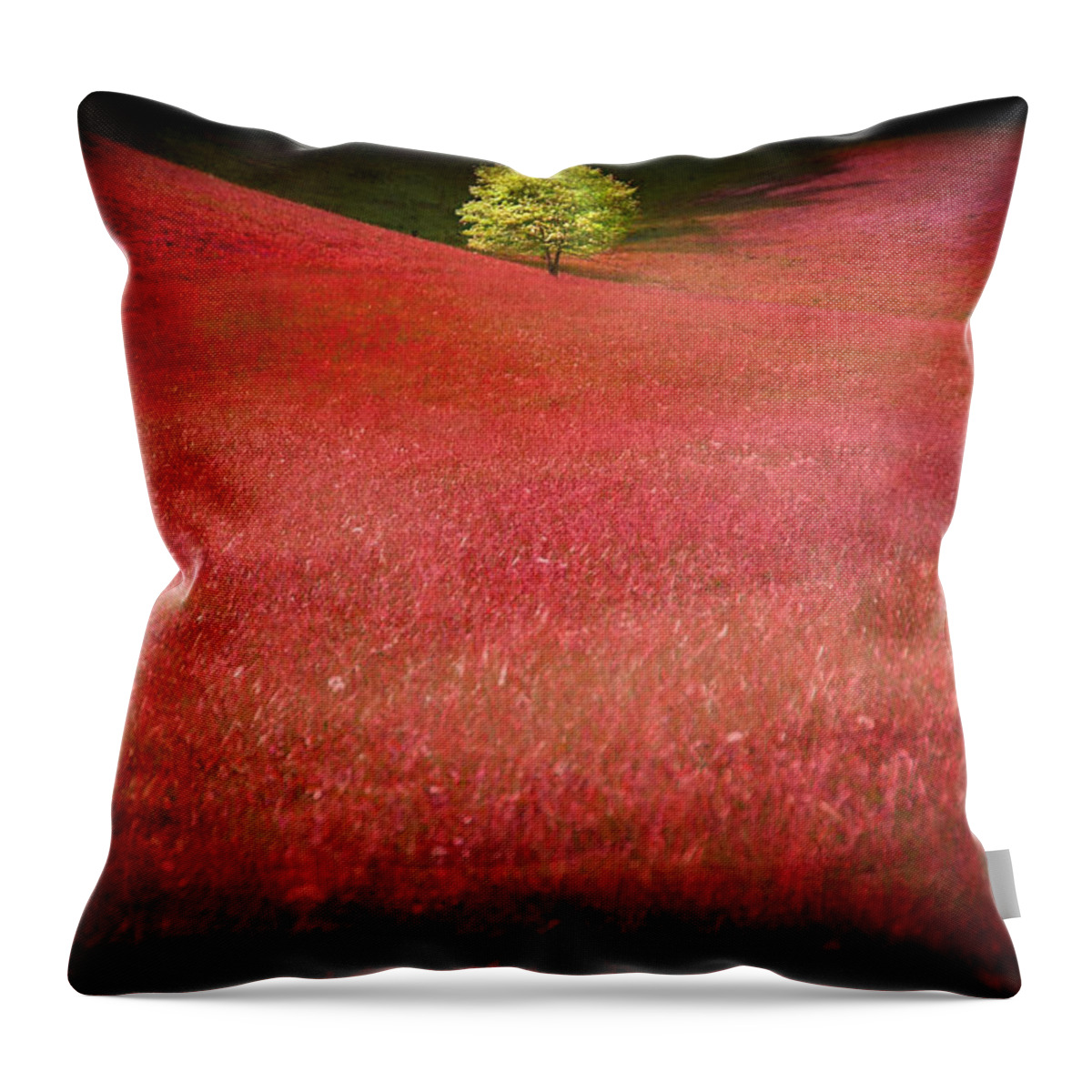 Landscape Throw Pillow featuring the photograph Eden by Gray Artus