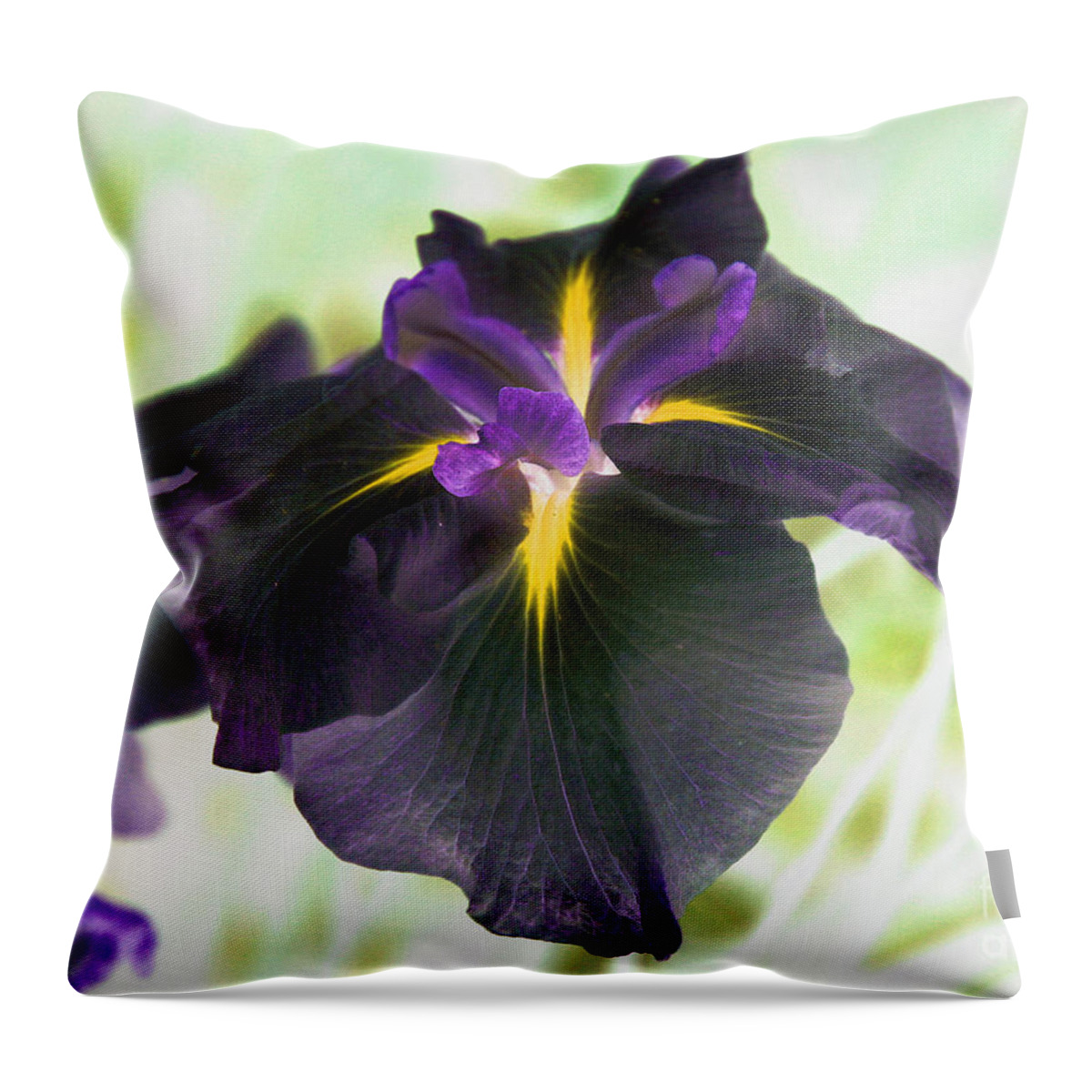 Flower Throw Pillow featuring the photograph Electric Japanese Iris by Smilin Eyes Treasures