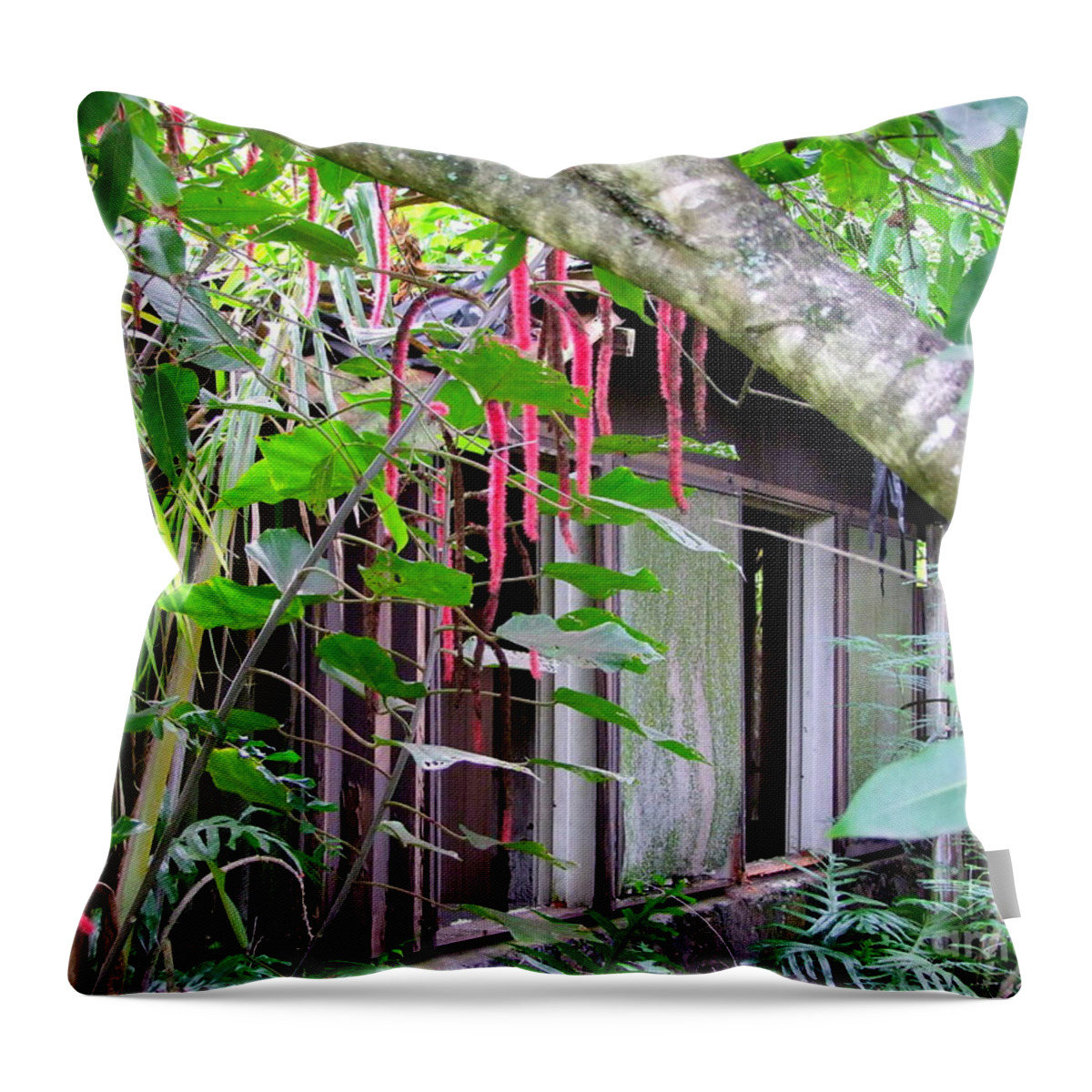 Elvis Presley Throw Pillow featuring the photograph Elvis Presley - Bungalow 56 - Coco Palms Hotel by Mary Deal