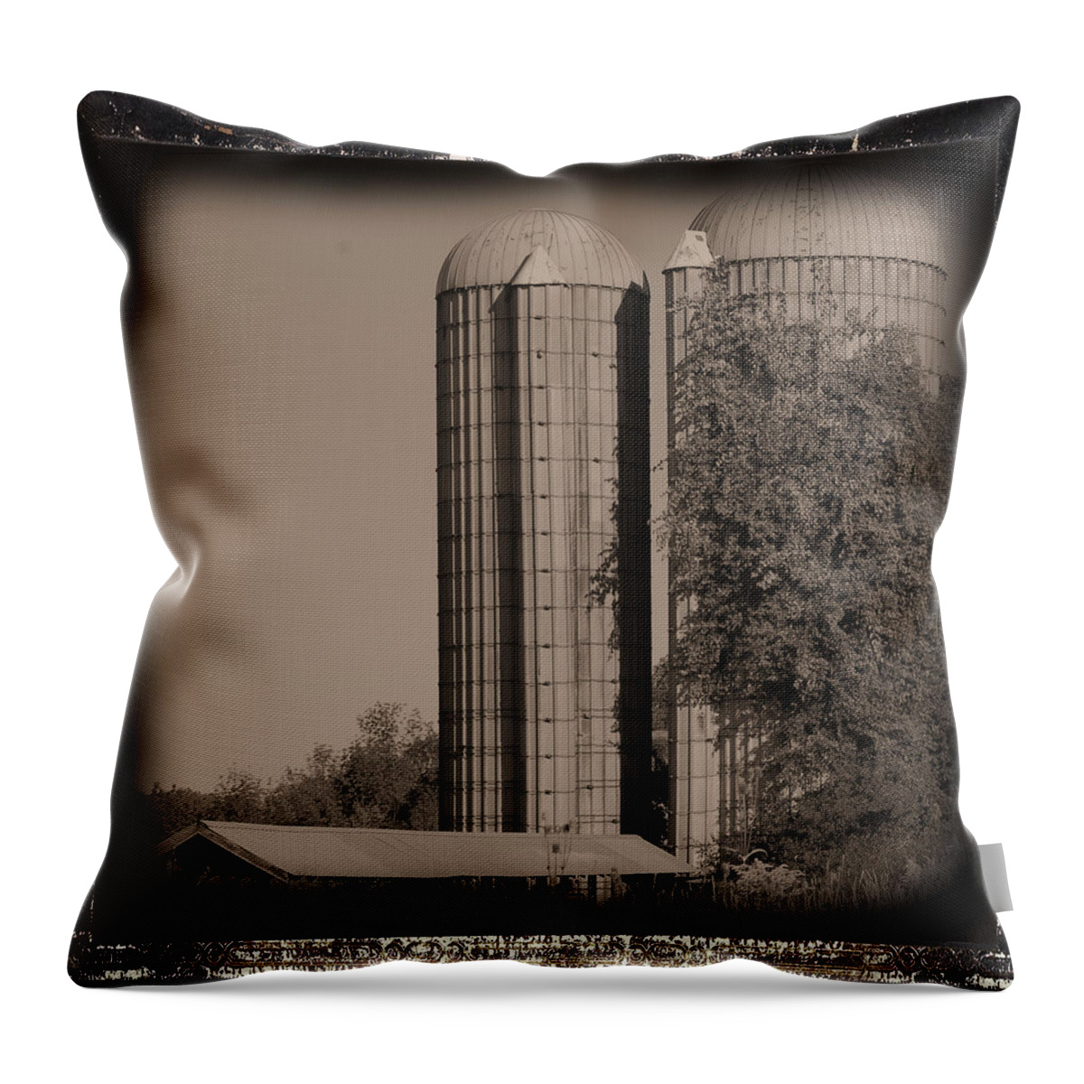 Country Throw Pillow featuring the photograph Emptiness by Sandy Poore