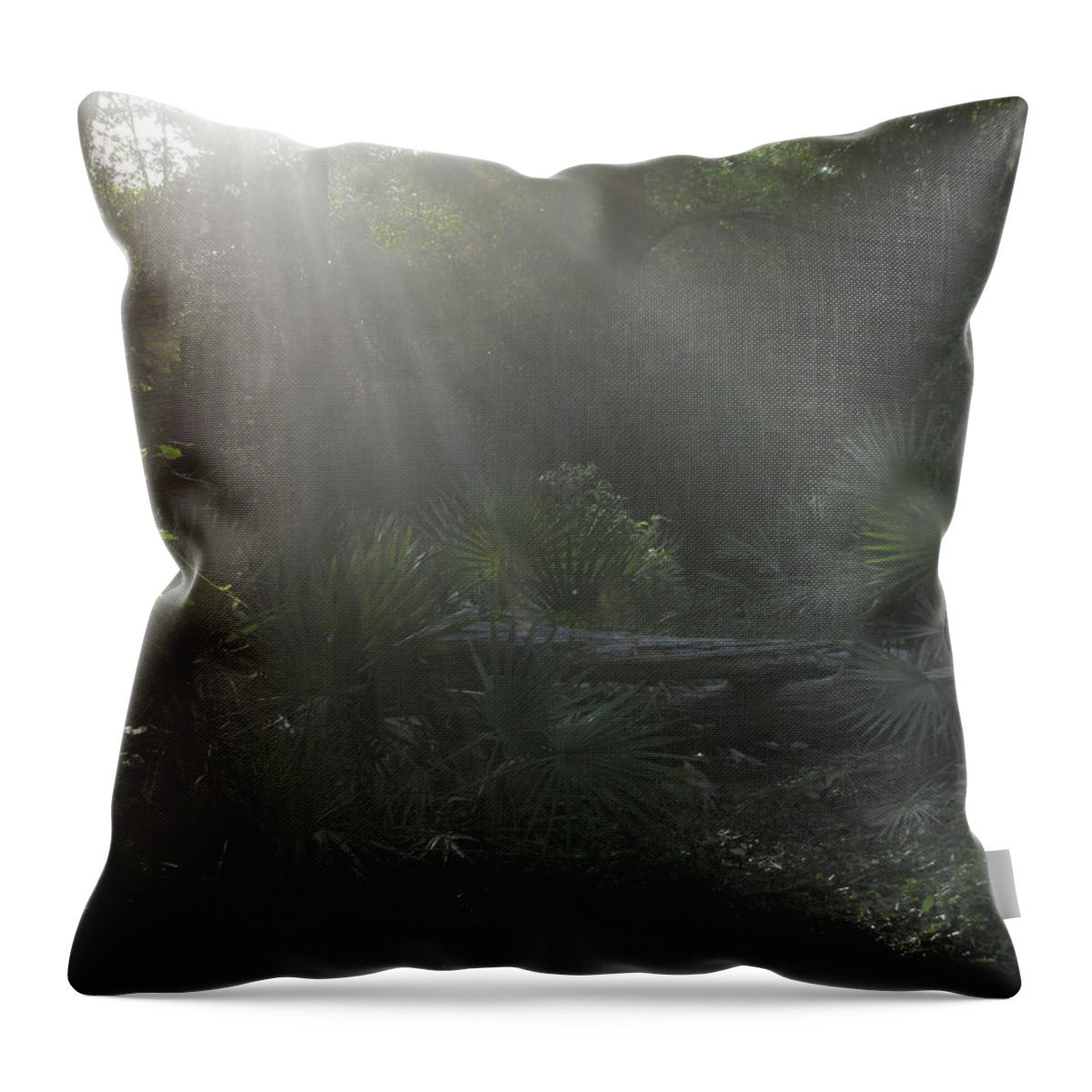 Nature Throw Pillow featuring the photograph Enchanted Glen by Peggy Urban