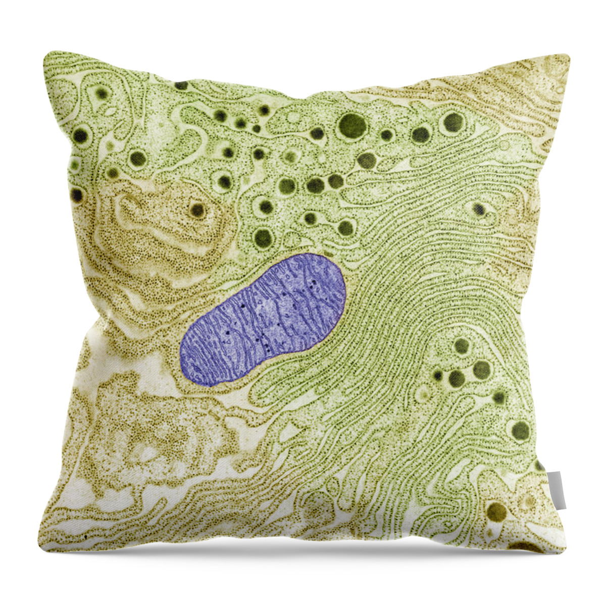 Tem Throw Pillow featuring the photograph Endoplasmic Reticulum by Omikron