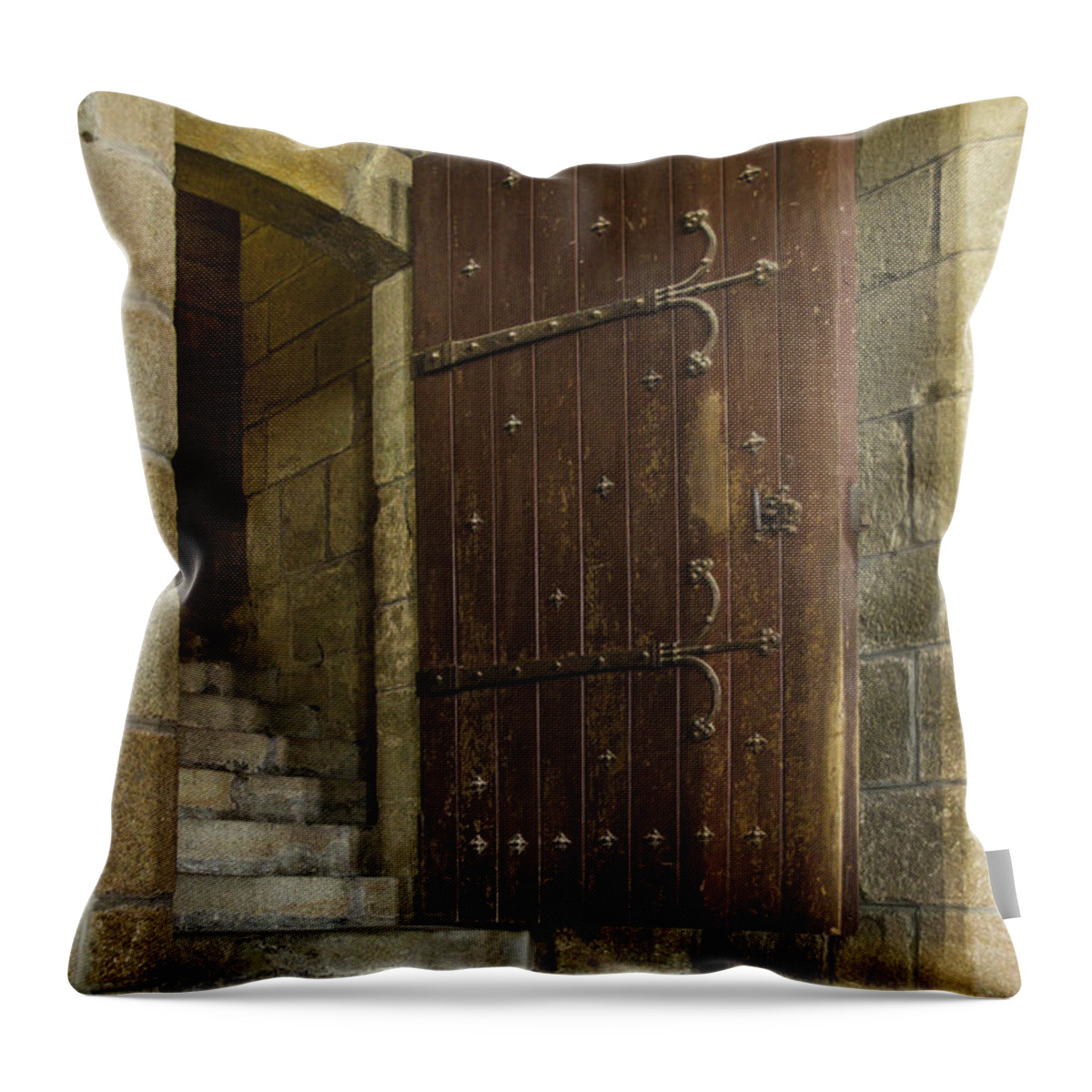 Mont Throw Pillow featuring the photograph Entrance by Marta Cavazos-Hernandez