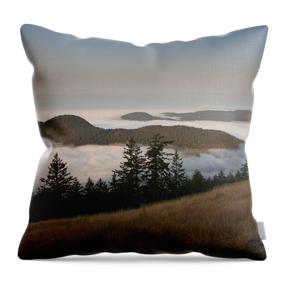 Mp Throw Pillow featuring the photograph Entrance Mountain And Mount Woolard by Matthias Breiter