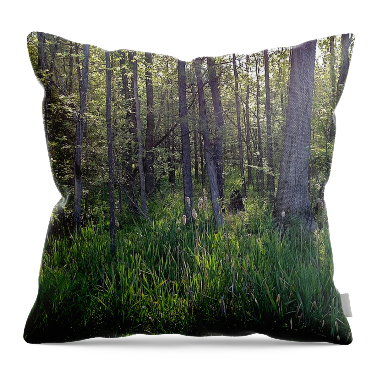 Cattails Throw Pillow featuring the photograph Entry by Joseph Yarbrough