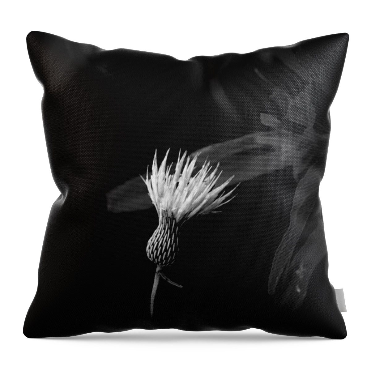 Plants Throw Pillow featuring the photograph Escaped by David Weeks