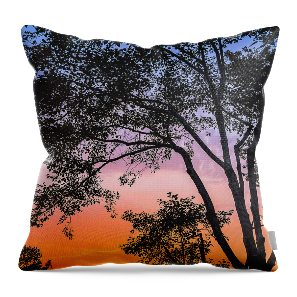 Eureka Throw Pillow featuring the photograph Eureka Sunset by Greg Nyquist