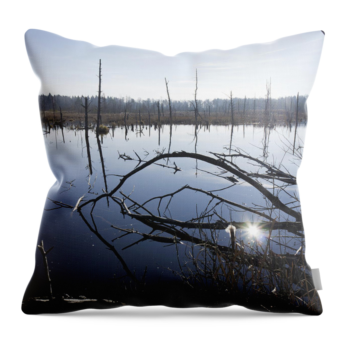 Bog Throw Pillow featuring the photograph Everglade Schwenninger Moos by Matthias Hauser