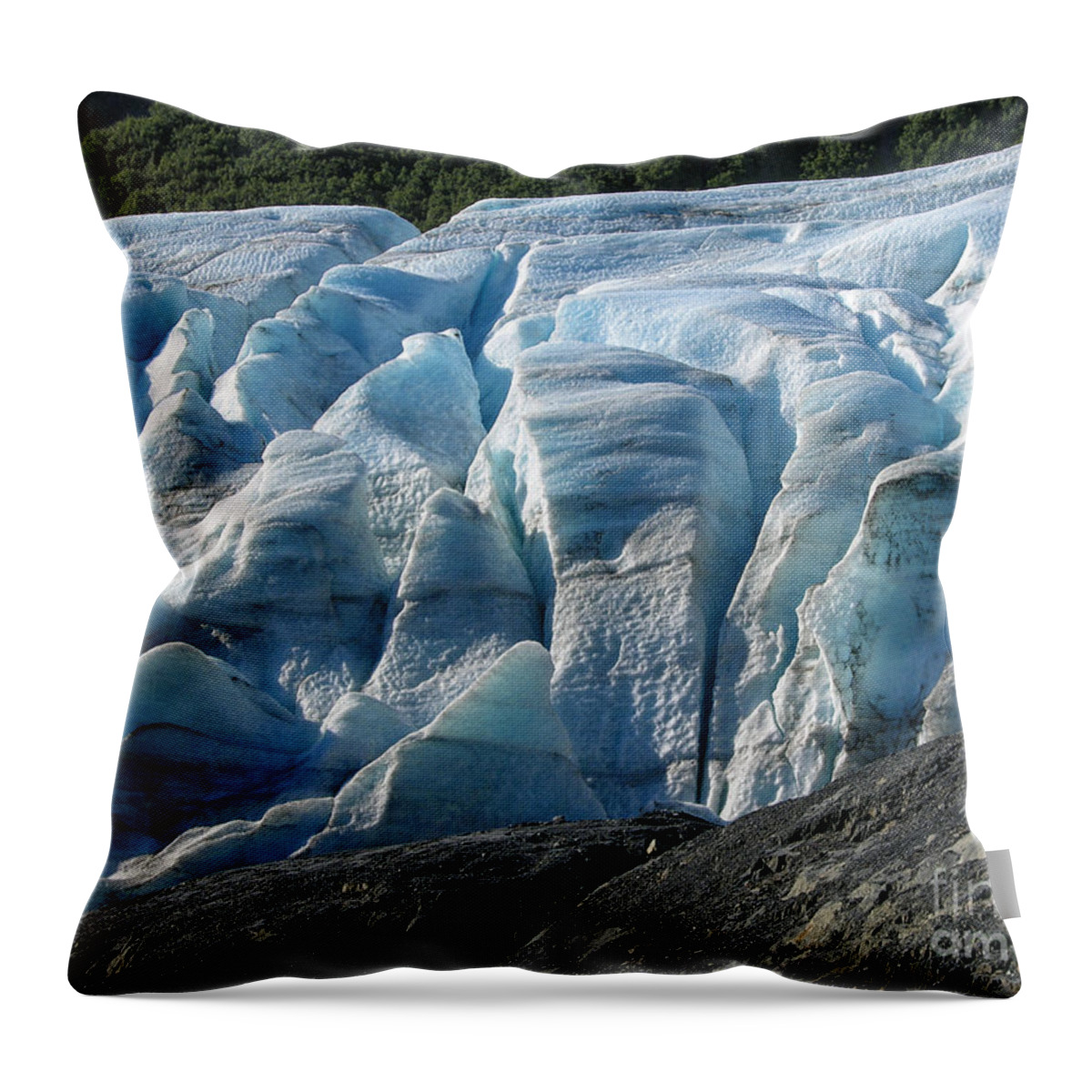 Alaska Throw Pillow featuring the photograph Exit Glacier Viewpoint by Sandra Bronstein