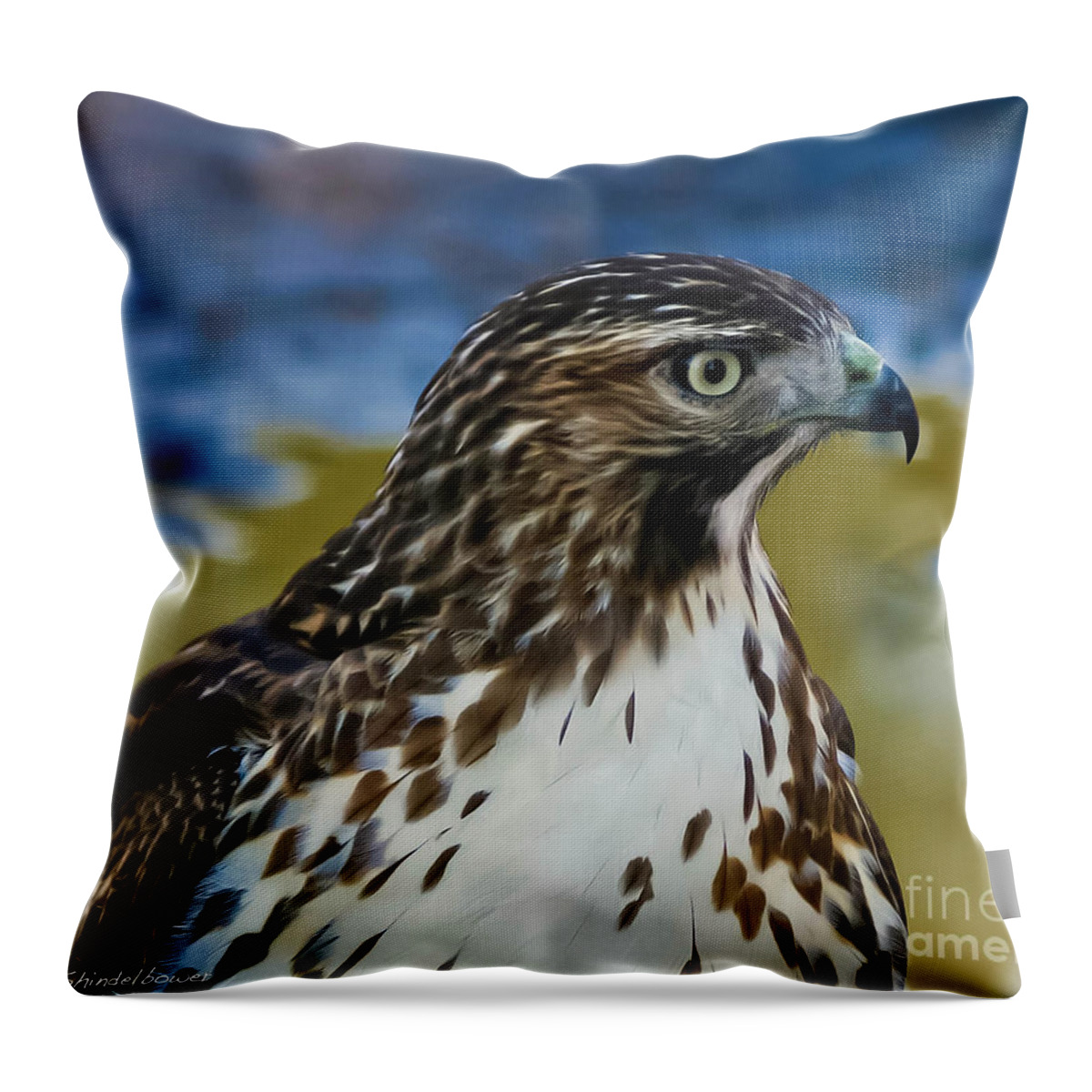 Hawk Throw Pillow featuring the photograph Eye Of The Hawk by Mitch Shindelbower