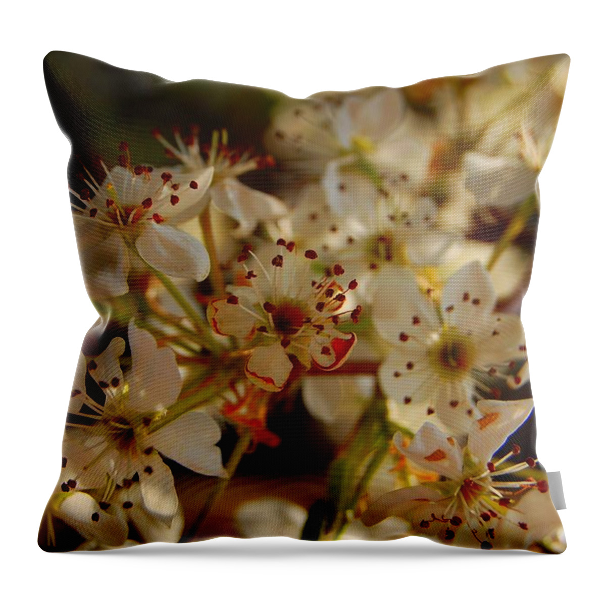 Blossom Throw Pillow featuring the photograph Faded Blossom by Anjanette Douglas