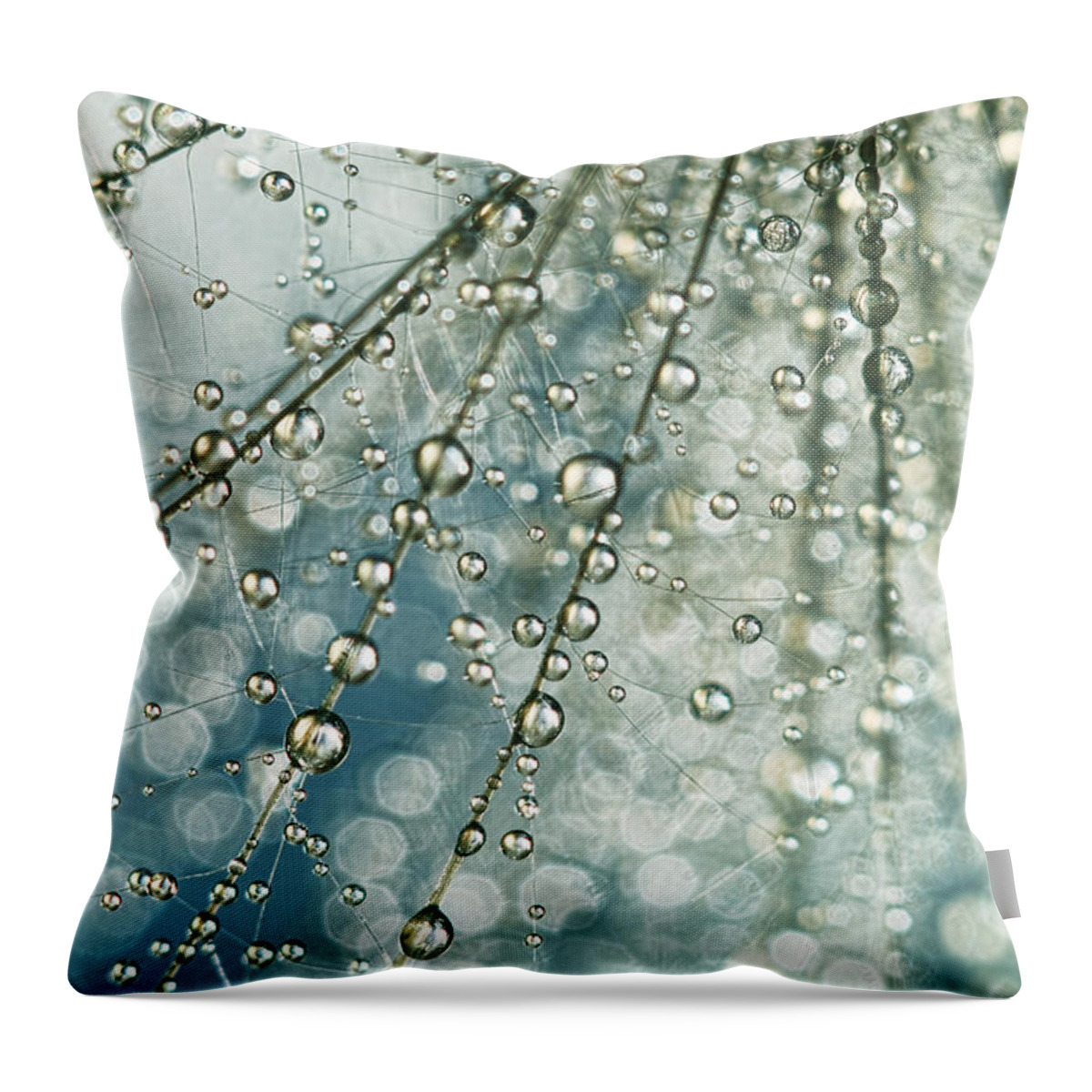 Thistle Throw Pillow featuring the photograph Fairy Rain by Sharon Johnstone