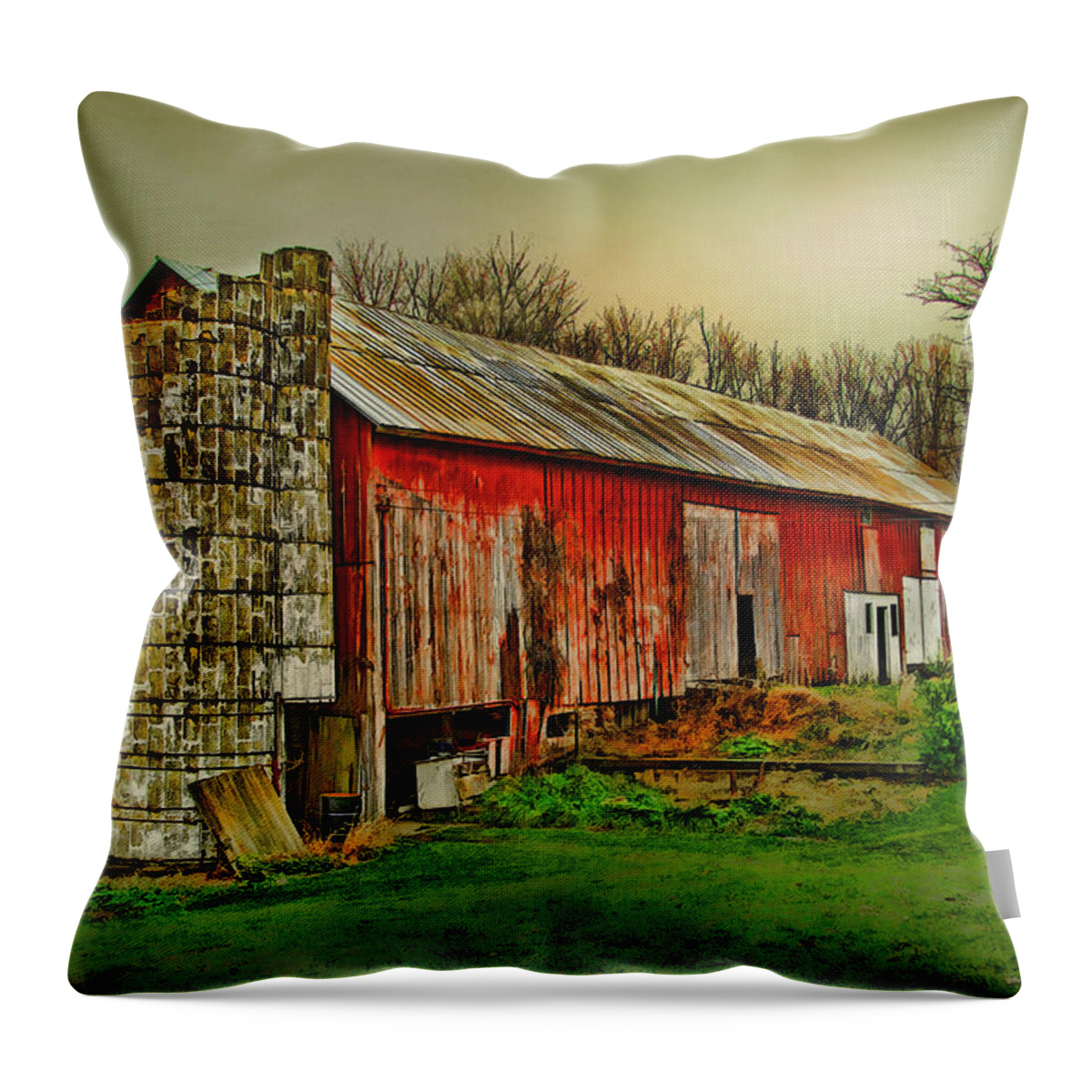 Fall Throw Pillow featuring the photograph Fall Barn by Mary Timman