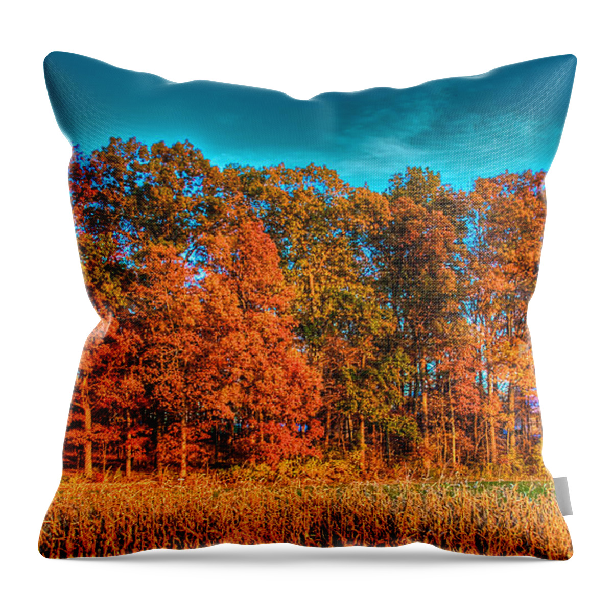 Tonemapped Throw Pillow featuring the photograph Fall Beauty by Mark Dodd