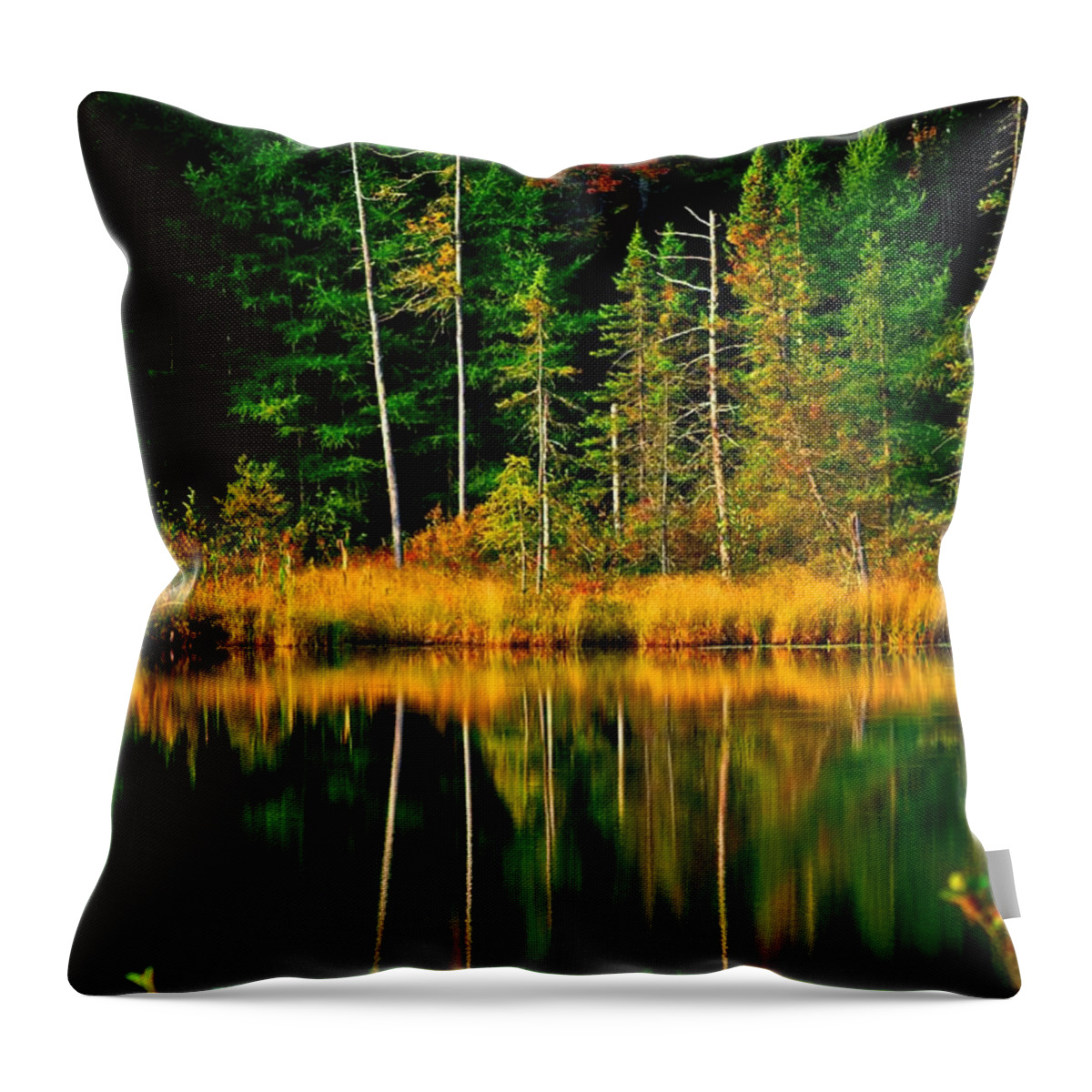 Lake Throw Pillow featuring the photograph Fall Colors and Reflections by Prince Andre Faubert