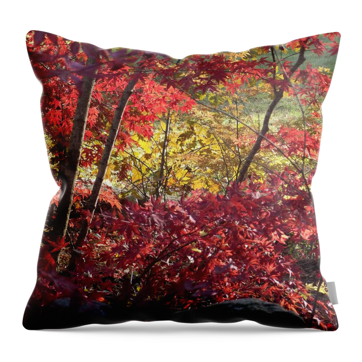 Red Maples Throw Pillow featuring the photograph Fall Comes to New England by Michelle Welles