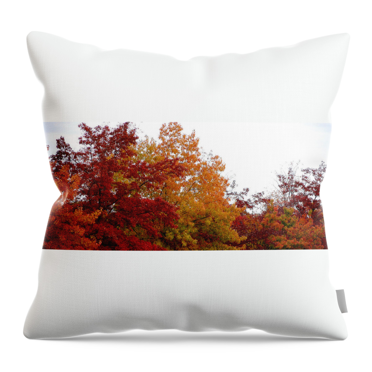 Fall Color Colors Leaf Leaves Tree Orange Red Green Chico Ca Throw Pillow featuring the photograph Fall Filled Sky by Holly Blunkall