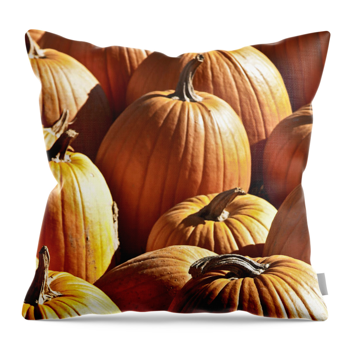 Fall Throw Pillow featuring the photograph Fall Pumpkins by Brenda Giasson