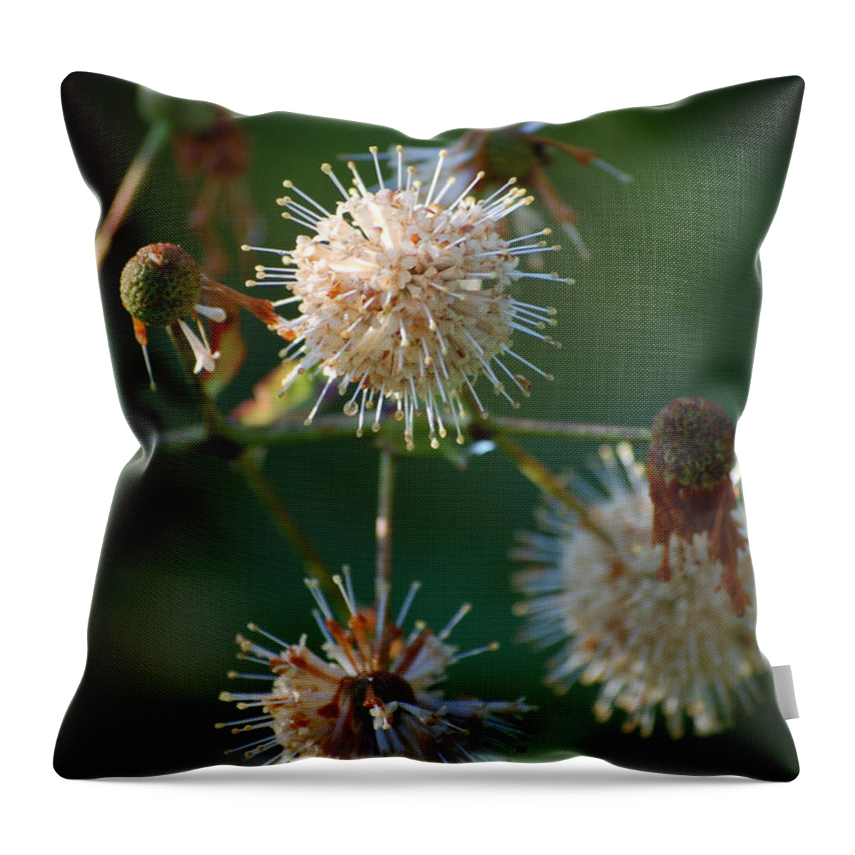 Buttonbush Throw Pillow featuring the photograph Fallen Flowers by Robert Meanor