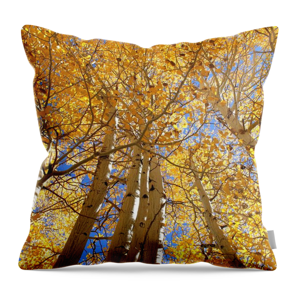 Fall Throw Pillow featuring the photograph Falling for Fall by Caroline Lomeli