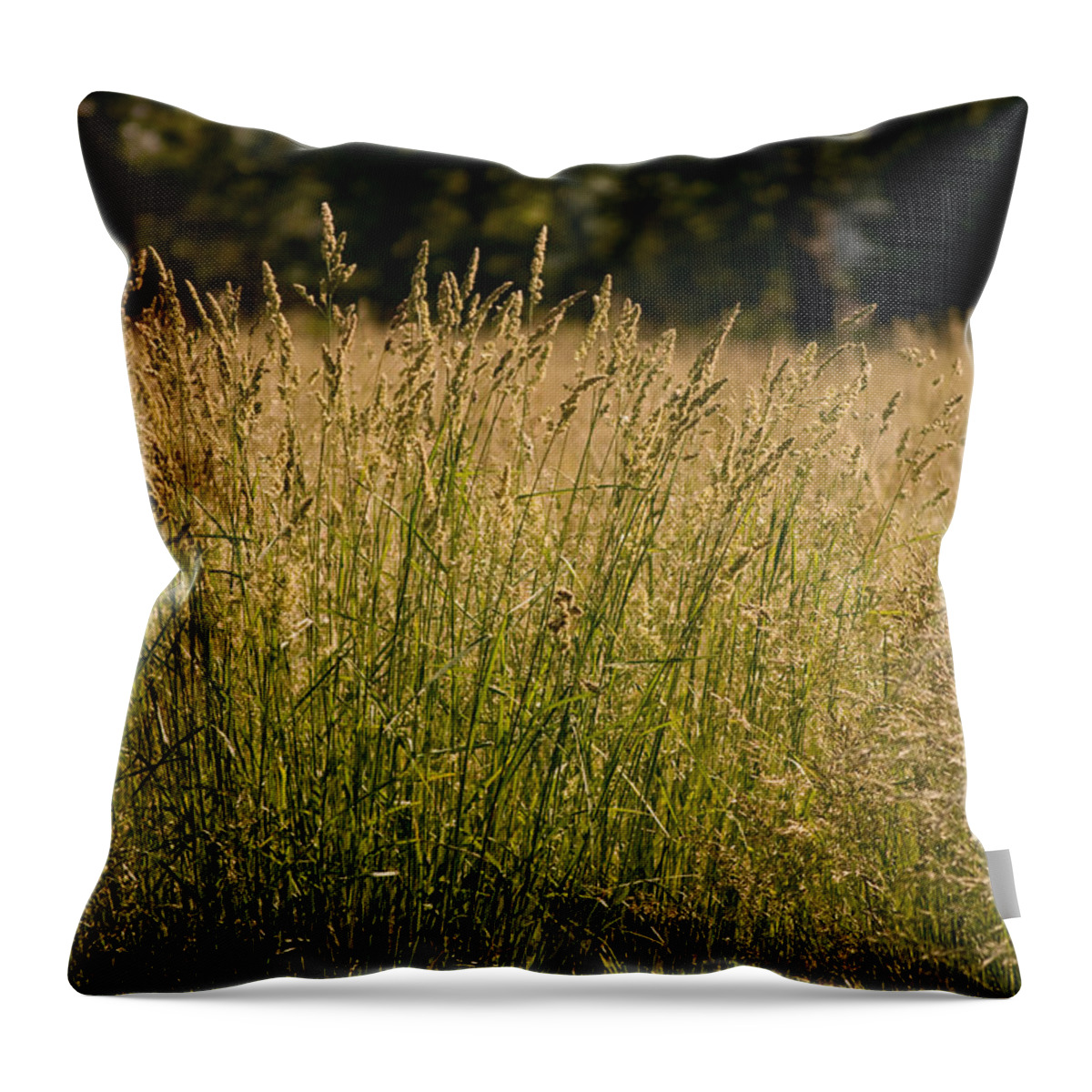 Nature Throw Pillow featuring the photograph Fallow Field by Paulette B Wright
