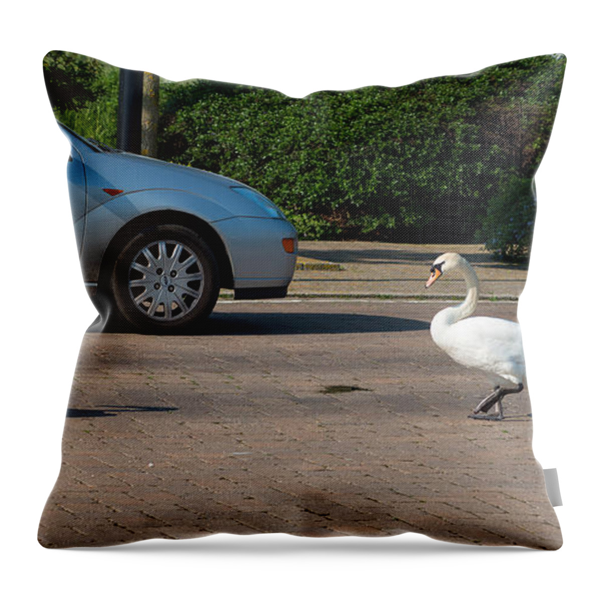 British Throw Pillow featuring the photograph Family of Swans cross the road by Andrew Michael